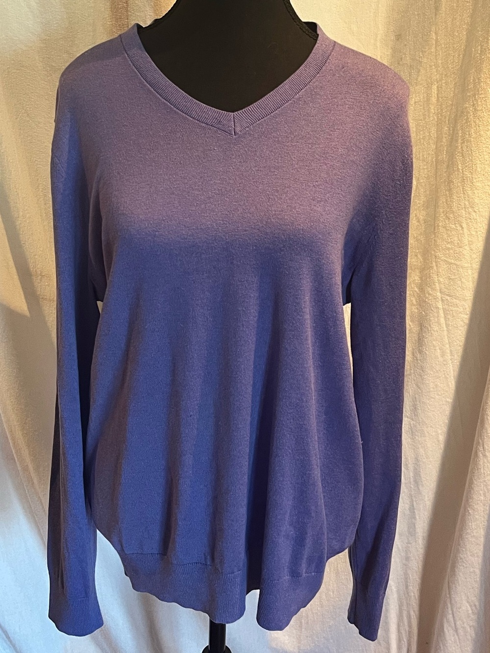 Banana Republic Men’s V-Neck silk/cotton/cashmere blend Sweater - purple